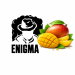 Табак Enigma Madgifera (Манго) 200 г 